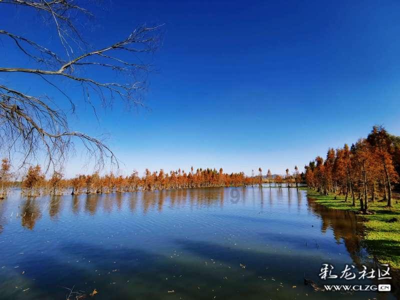 孙俪：这个“文艺青年”独树一帜，不求虚名追求实际